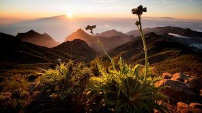Natur: Die Kanarischen Inseln - Im Reich der Feuerberge