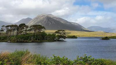 Natur: Irischer Kompass - Rauer Westen
