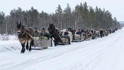 Natur: Winter in der Lüneburger Heide