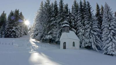 Natur: Winter im Almenland