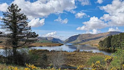 Natur: Irischer Kompass - Blühender Osten