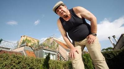 Natur: im Garten - Die Katze auf dem heißen Dach