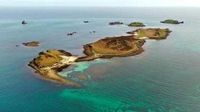 Natur: Cornwalls Karibik