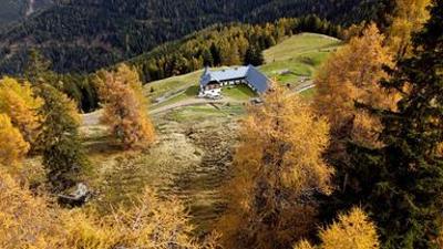 Natur: Almgeschichten aus Kärnten