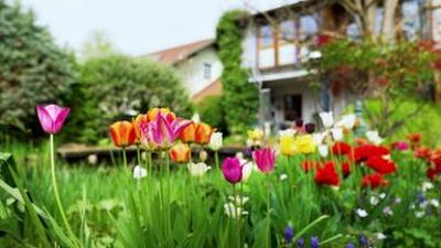 Natur: Sehnsucht nach Natur - Garteln als Trend und Geschäft
