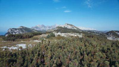 Natur: Hirtenleben – Suachn und Losen im Dachsteingebirge