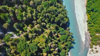 Natur: Wilder Rhein – der berühmte Unbekannte (1)
