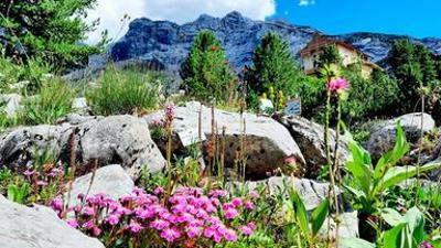 Natur: Gärten in den Alpen