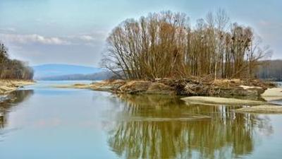 Natur: Wildnis am Strom - Nationalpark Donau-Auen