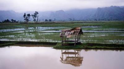 Natur: Laos Wunderland - Reise- und Naturdokumentation Natur: Laos Wunderland - Reise- und Naturdokumentation