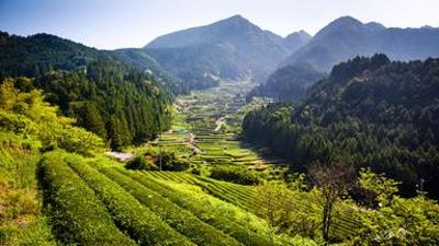 Natur: Wildes Japan: Honshu (1/3)