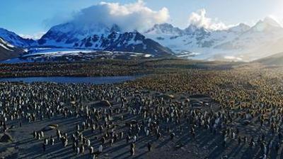 Natur: Die Geschichte unseres Planeten | Dokumentarfilm