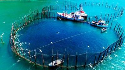 Natur: Kanadas deutsche Küste  – New Brunswick