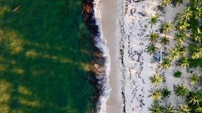 Natur: Kenia – Am Indischen Ozean