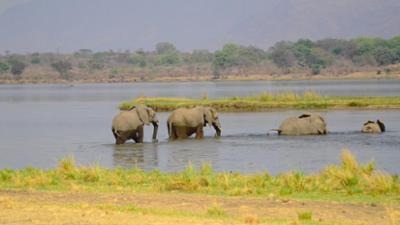 Natur: Die wilden Flüsse Afrikas: Sambesi