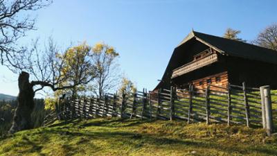 Natur: Roseggers Waldheimat - Ein Jahr im Zauberwald
