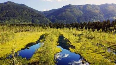 Natur: Steirische Moore - Zeugen der Eiszeit