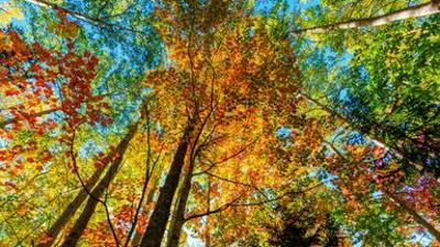 Natur: Zauber der Jahreszeiten (3/3) - Neuengland