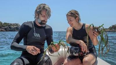 Natur: Mallorca - Die Königin