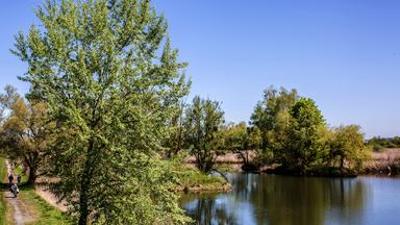Natur: Faszinierender Bodensee - Der See im Wandel der Jahreszeiten