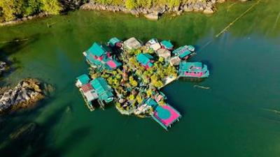 Natur: mareTV: Vancouver Island