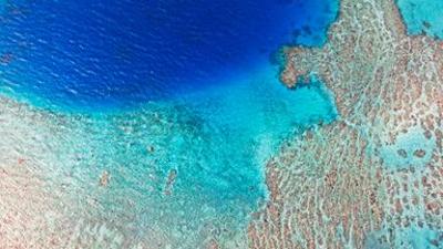 Natur: Faszination Südsee – Die Fidschi-Inseln