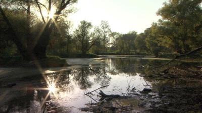 Natur: Fluss ohne Grenzen - Auenwildnis an der March - Flussporträt Natur: Fluss ohne Grenzen - Auenwildnis an der March - Flussporträt