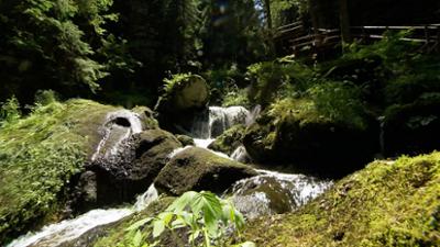 Natur: Schluchten, Klammen, Wasserfälle - Wilde Wasser in Niederösterreich