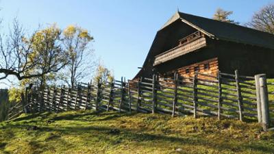 Natur: Roseggers Waldheimat - Ein Jahr im Zauberwald