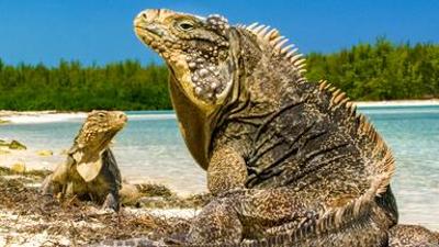 Natur: Kuba - Im Rhythmus der Natur