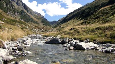 Natur: Nichts als Natur - Kurzprogramm Natur: Nichts als Natur - Kurzprogramm
