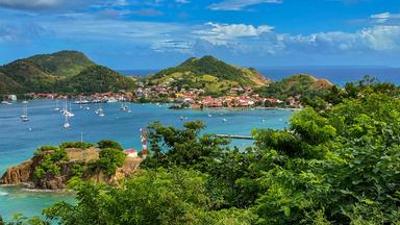 Natur: Karibische Gartenträume auf Guadeloupe