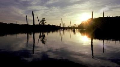 Natur: Ol' Man River - Mächtiger Mississippi