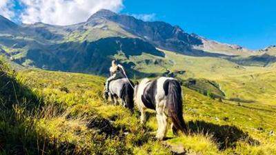 Natur: Vom Zauber der Berge - Kärntens faszinierende Alpenwelt