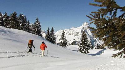 Natur: Berg und See in Eis und Schnee - Winteridylle in Österreich