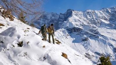 Natur: Alpine Lebenswelten: Winter im Wipptal
