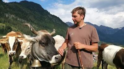 Natur: Die Almretter