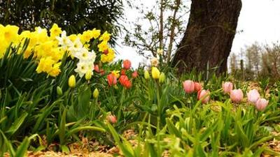 Natur im Garten: Natur in Garten (4/10) - Steirischer Naturgarten