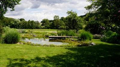 Natur im Garten: (3/10) - Dornbach im Wienerwald