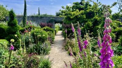 Natur im Garten: (9/10) - Schau- und Nutzgarten in Irland