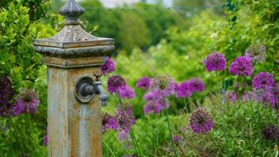 Natur im Garten: (8/10) - Idyllischer Gastgarten im Wienerwald