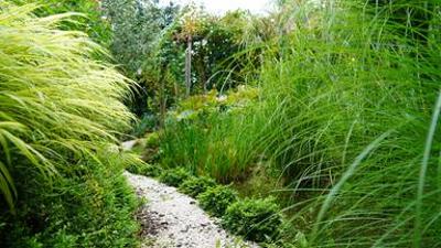 Natur im Garten: (6/10) - Grüne Oase in Oberösterreich