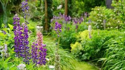 Natur im Garten: (4/10) - Romantisch-verspielter Naturgarten