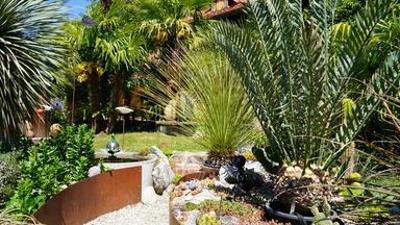 Natur im Garten: (9/10) - Exotisches Gartenparadies Steiermark