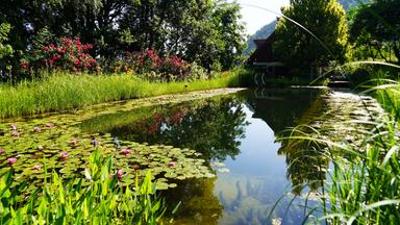 Natur im Garten: (2/10) - Gartenparadies in der Steiermark