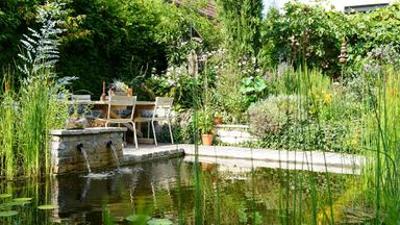 Natur im Garten: (3/10) - Vielfältiger Naturgarten Natur im Garten: (3/10) - Vielfältiger Naturgarten