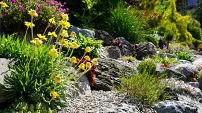 Natur im Garten: (3/10) - Tiroler Garten