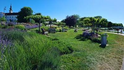 Natur im Garten: (2/10) - Nibelungenplatz Tulln