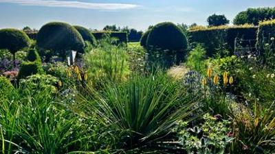 Natur im Garten: (7/10) - Gartenparadies in Irland