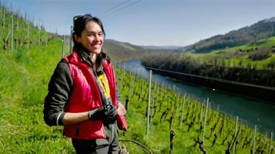 Politik und Gesellschaft: Wein am Rhein (2) Politik und Gesellschaft: Wein am Rhein (2)